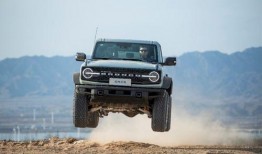 国产烈马最新爆料,揭秘神秘爆料背后的传奇故事